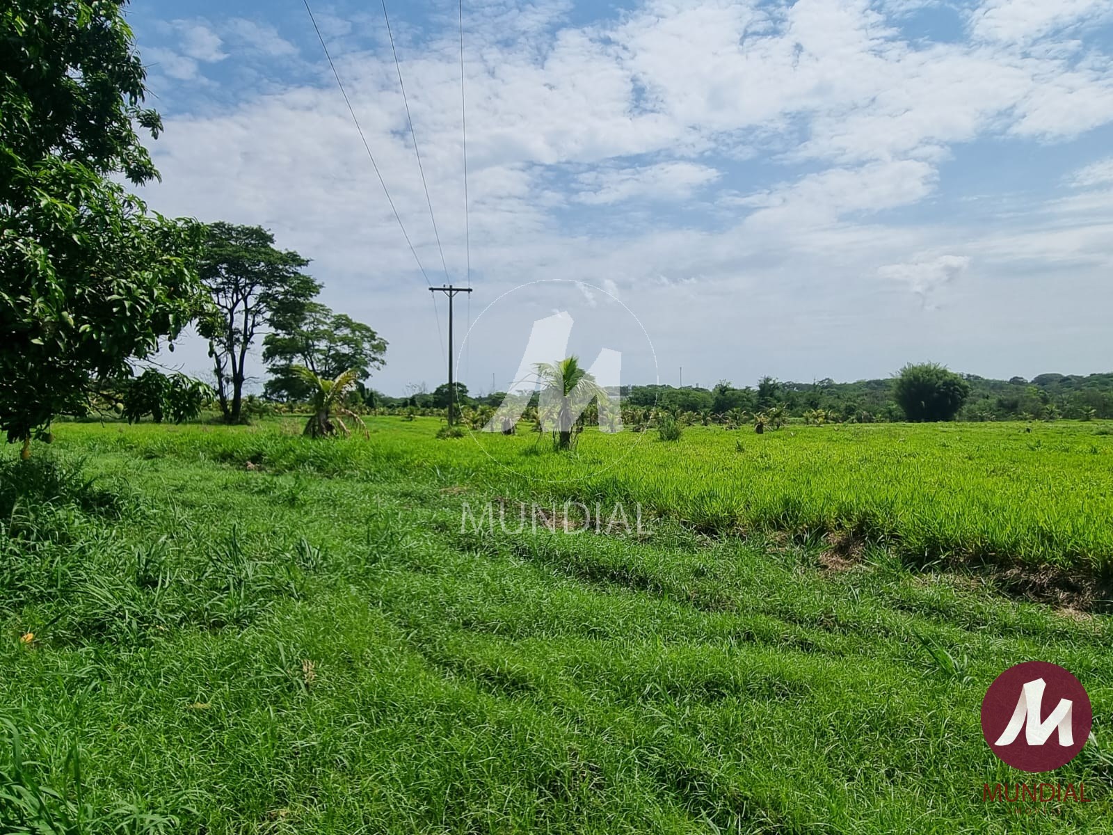 Terreno/Lote — foto 3