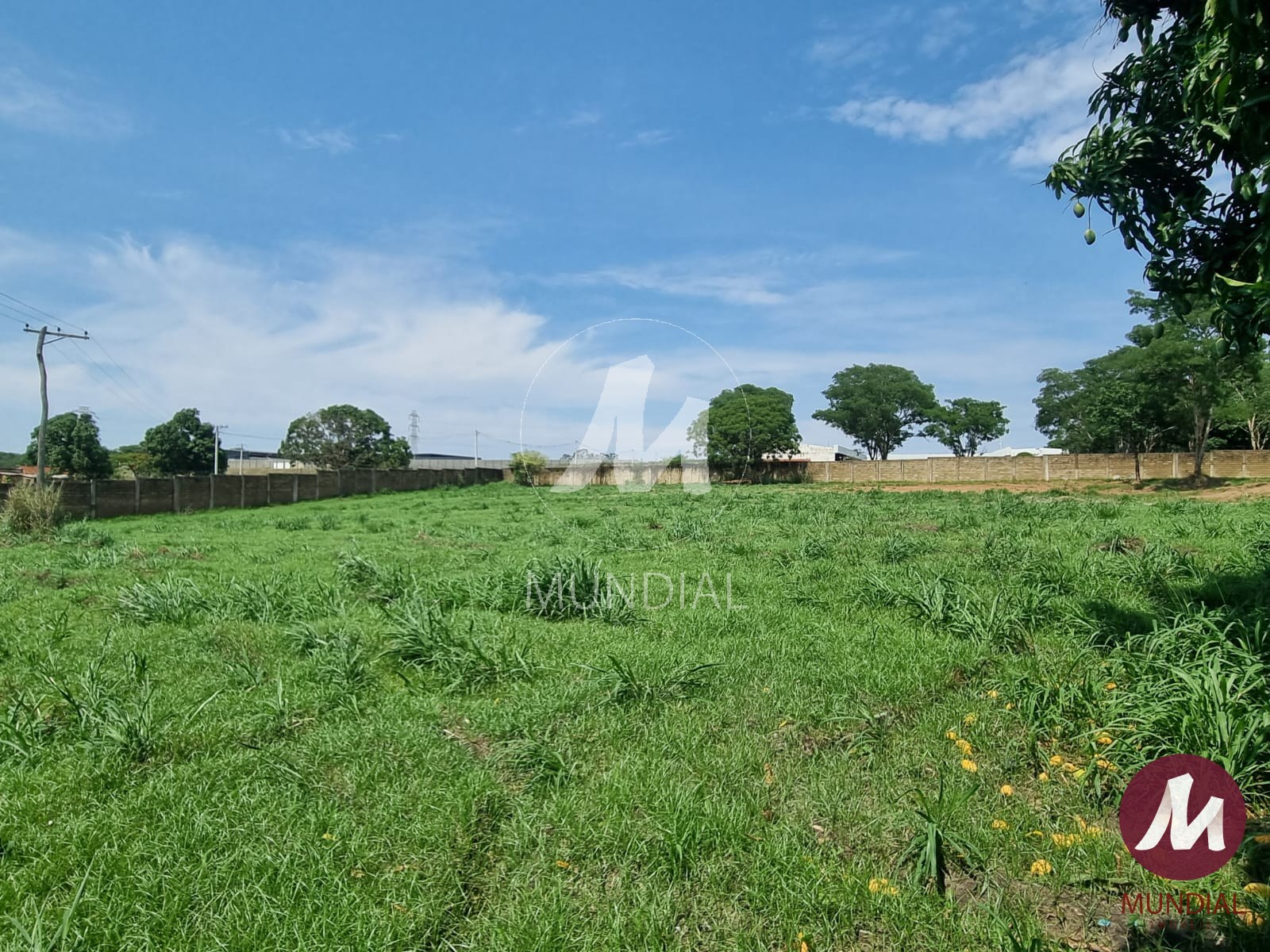 Terreno/Lote — foto 4