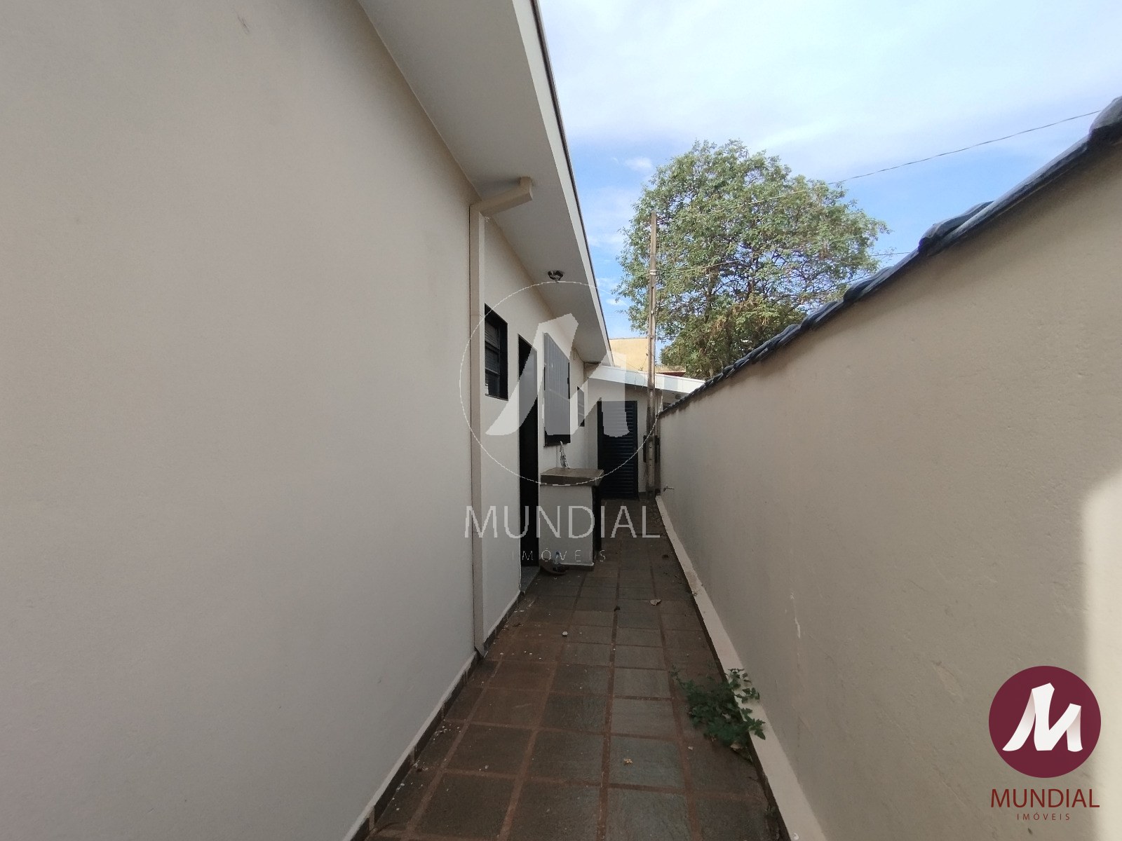 Quintal/corredores — foto 14