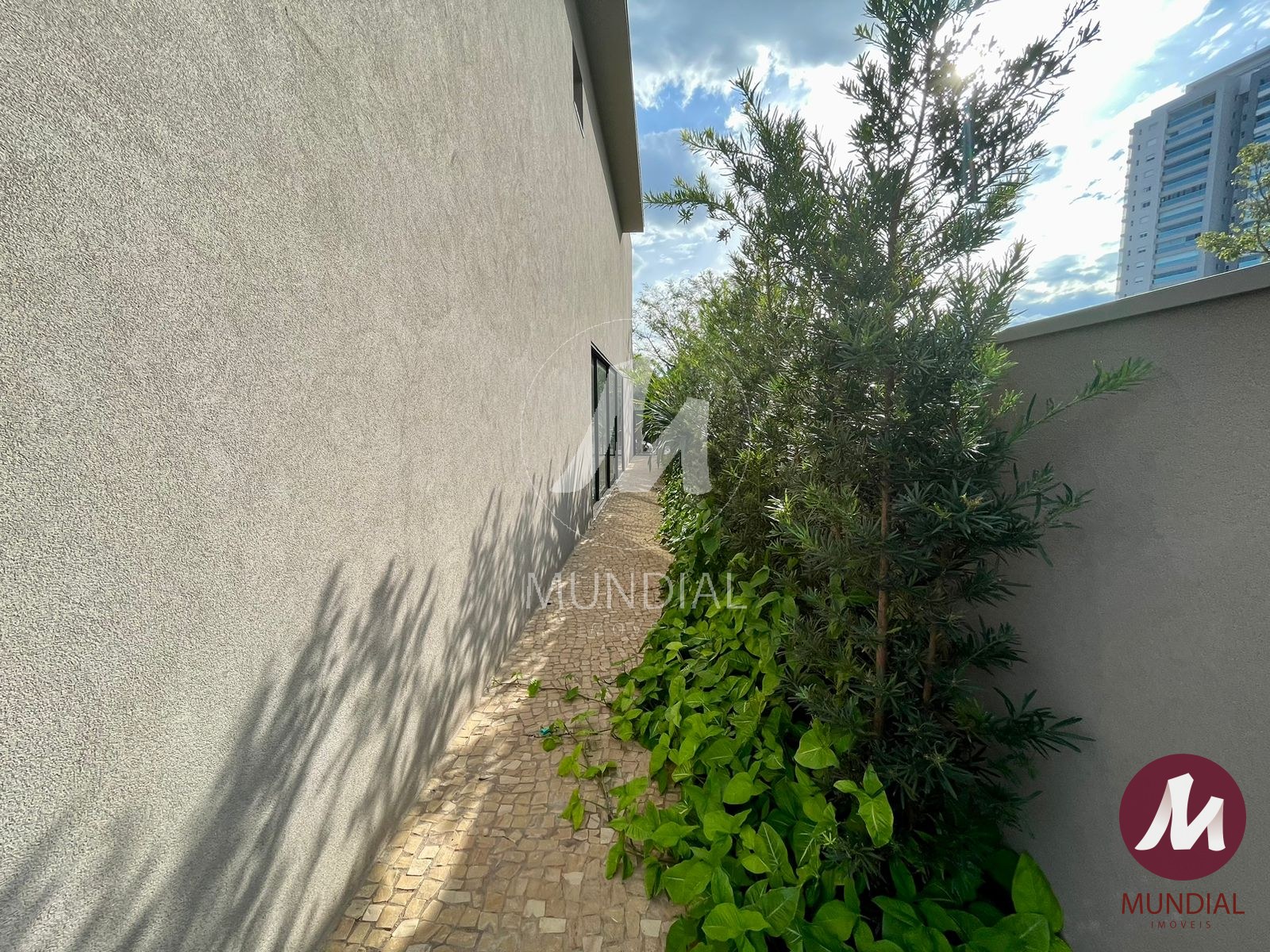 Quintal/corredores — foto 23