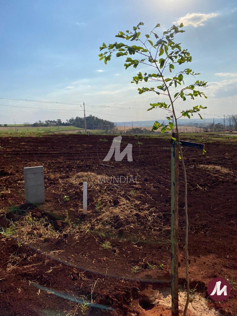 Terreno/Lote — foto 1