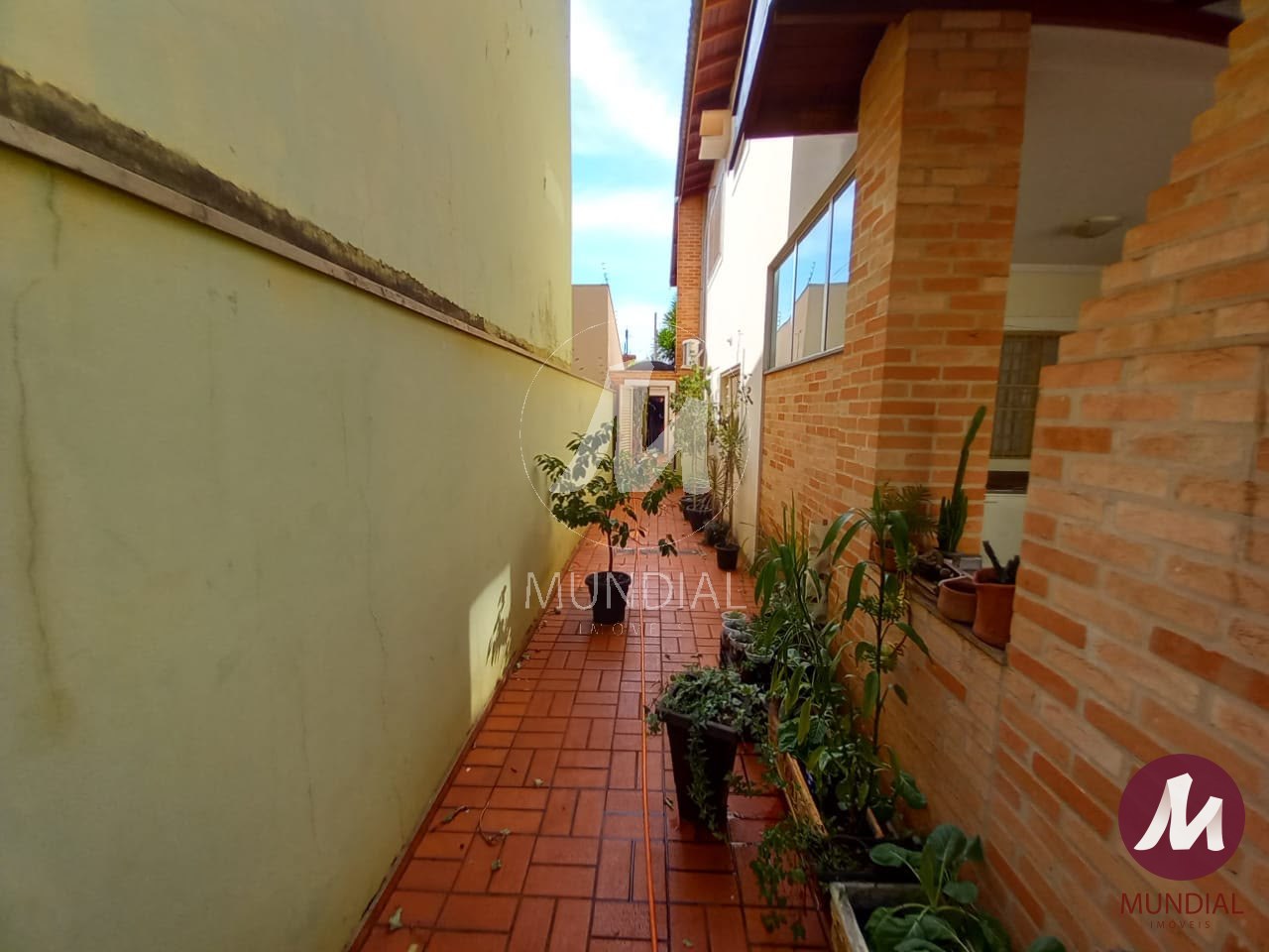 Quintal/corredores — foto 12