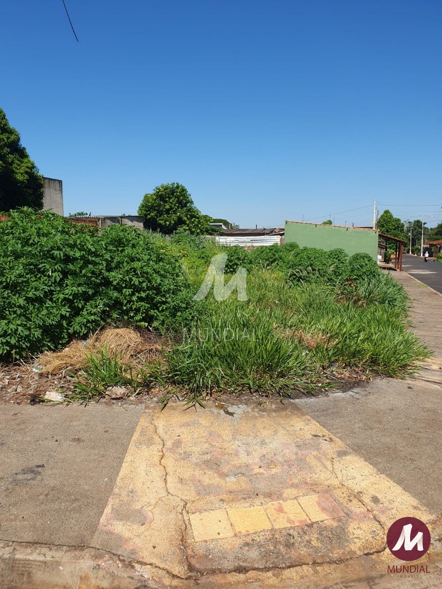 Terreno/Lote — foto 1