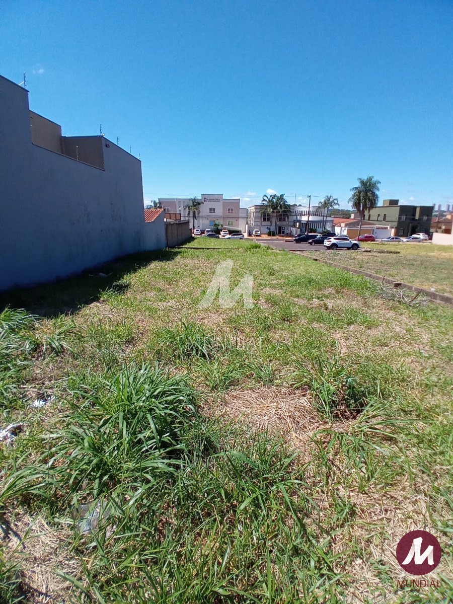 Terreno/Lote — foto 4