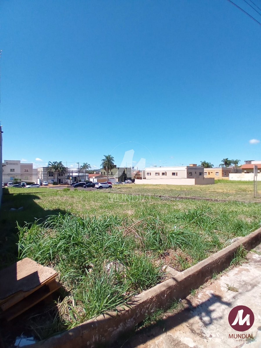 Terreno/Lote — foto 3