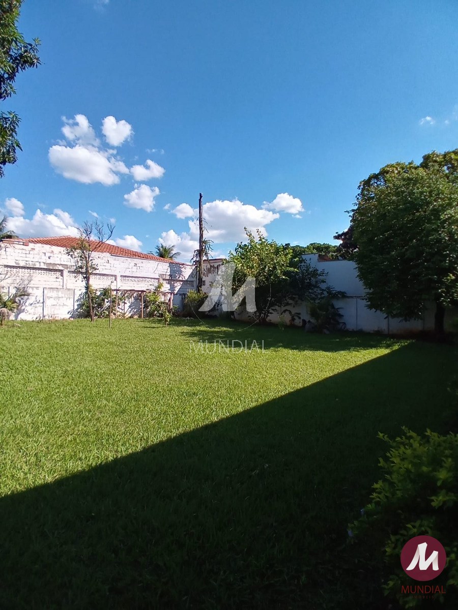 Jardim — foto 35