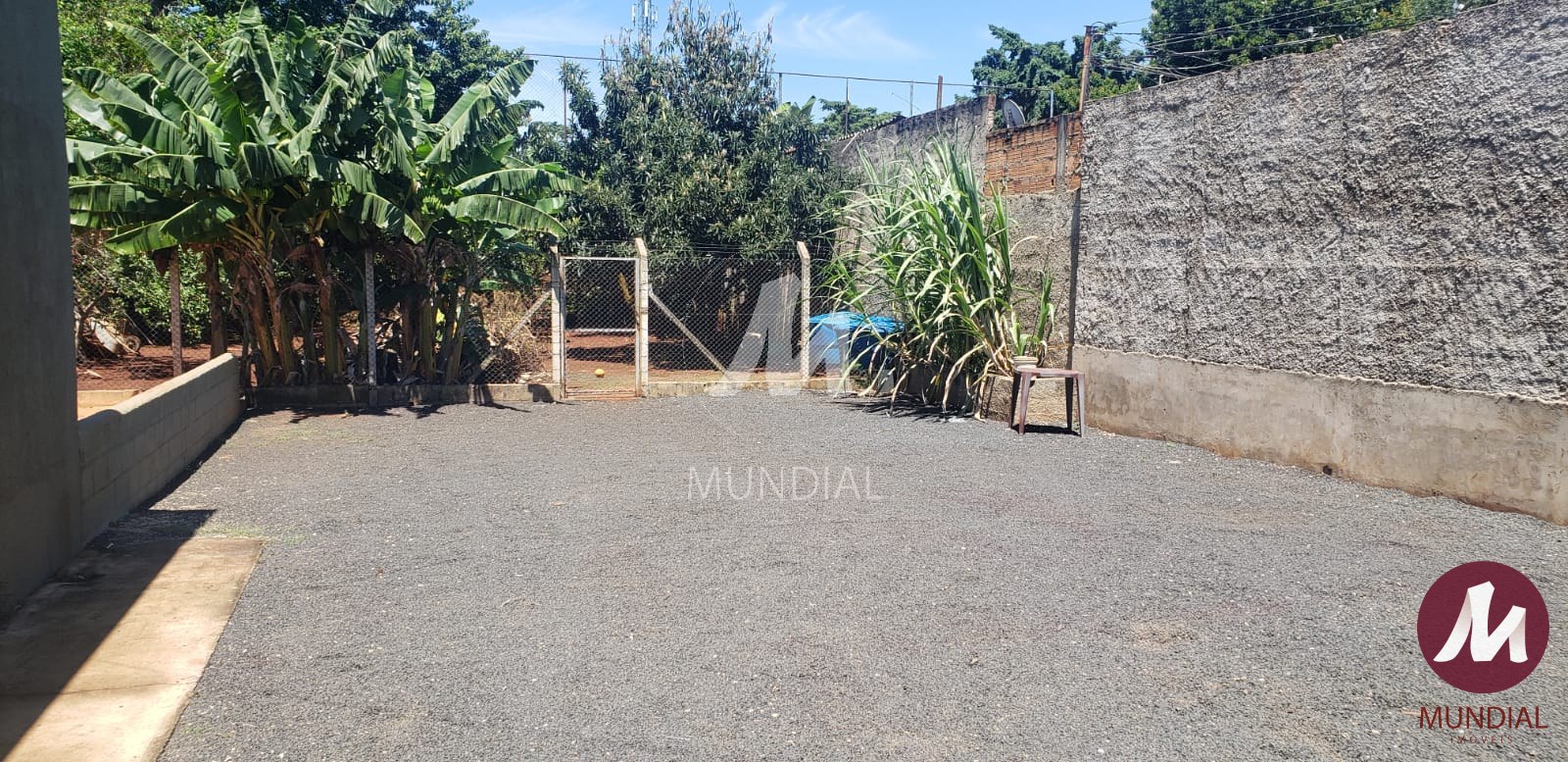 Quintal/corredores — foto 31