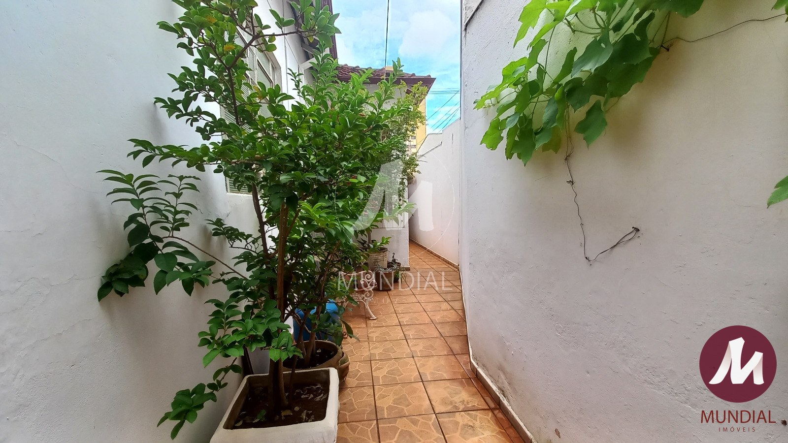 Quintal/corredores — foto 8