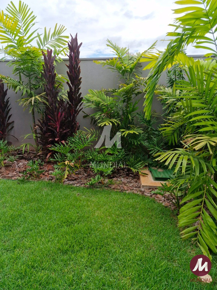 Jardim — foto 26