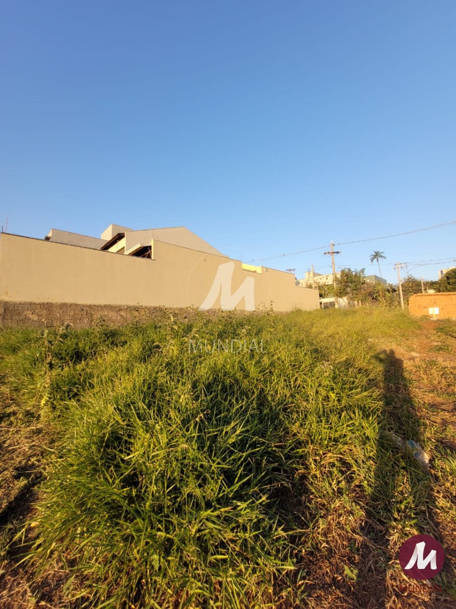 Terreno/Lote — foto 3