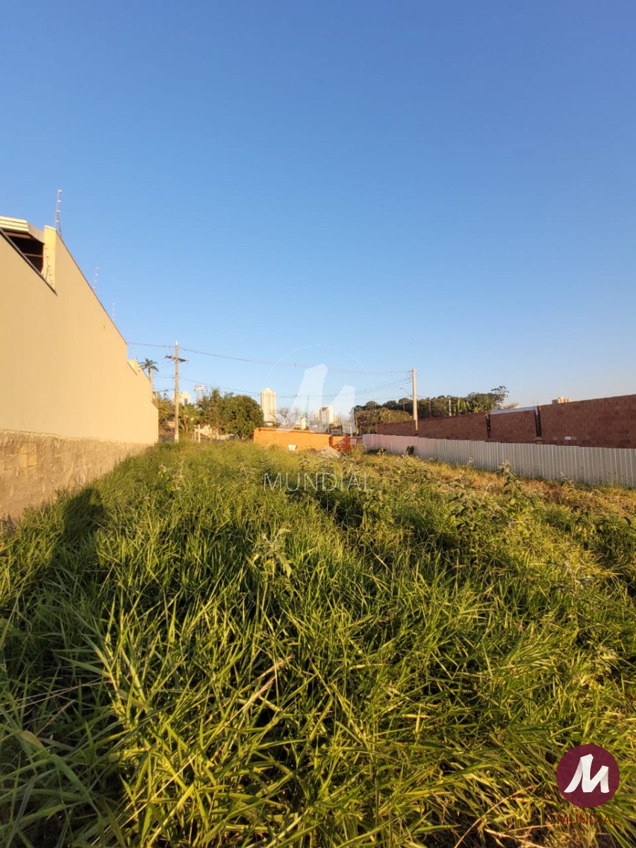 Terreno/Lote — foto 4