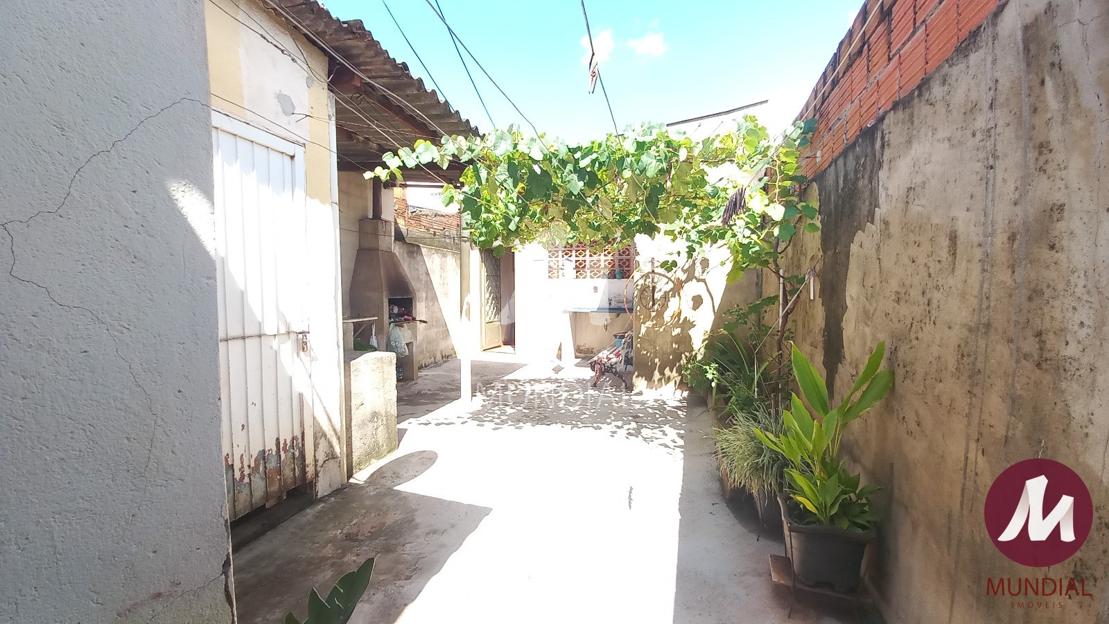 Quintal/corredores — foto 9
