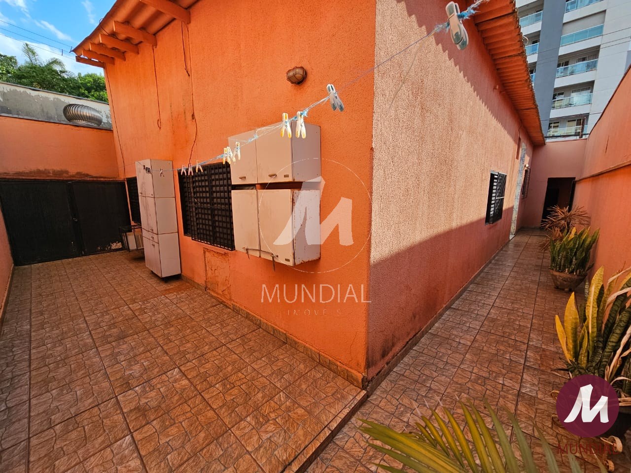 Quintal/corredores — foto 11
