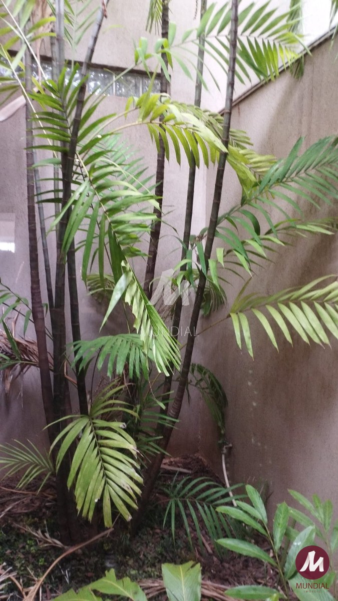Jardim — foto 3