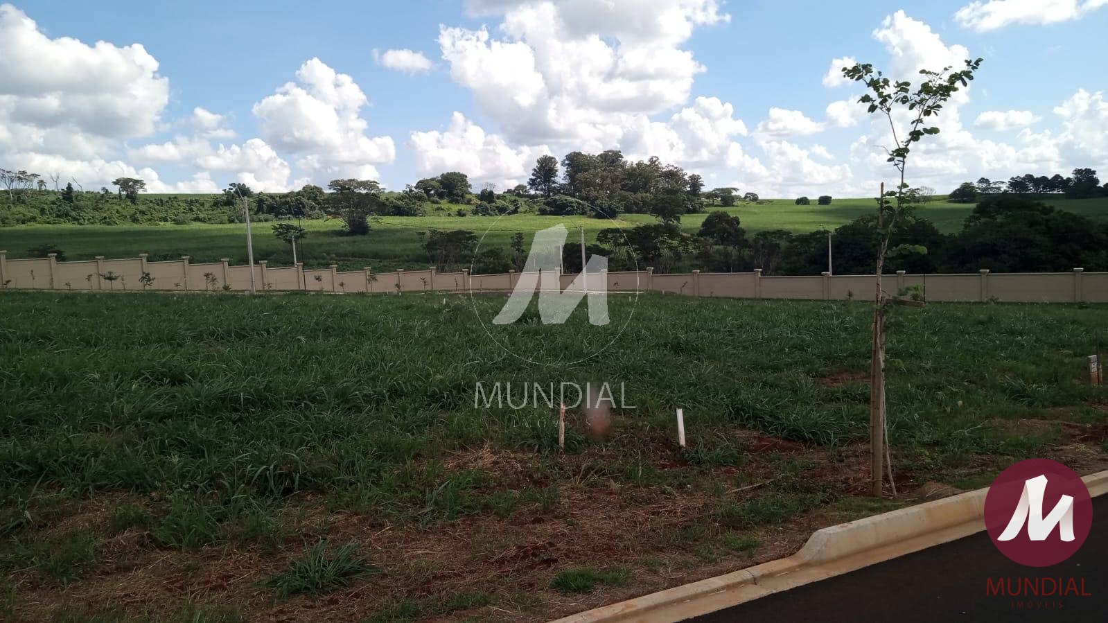 Terreno/Lote — foto 2