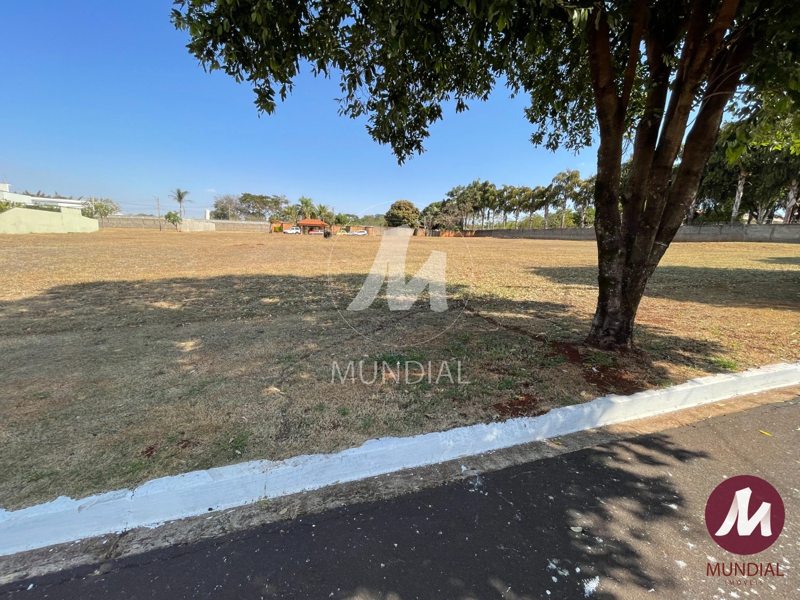 Terreno/Lote — foto 5
