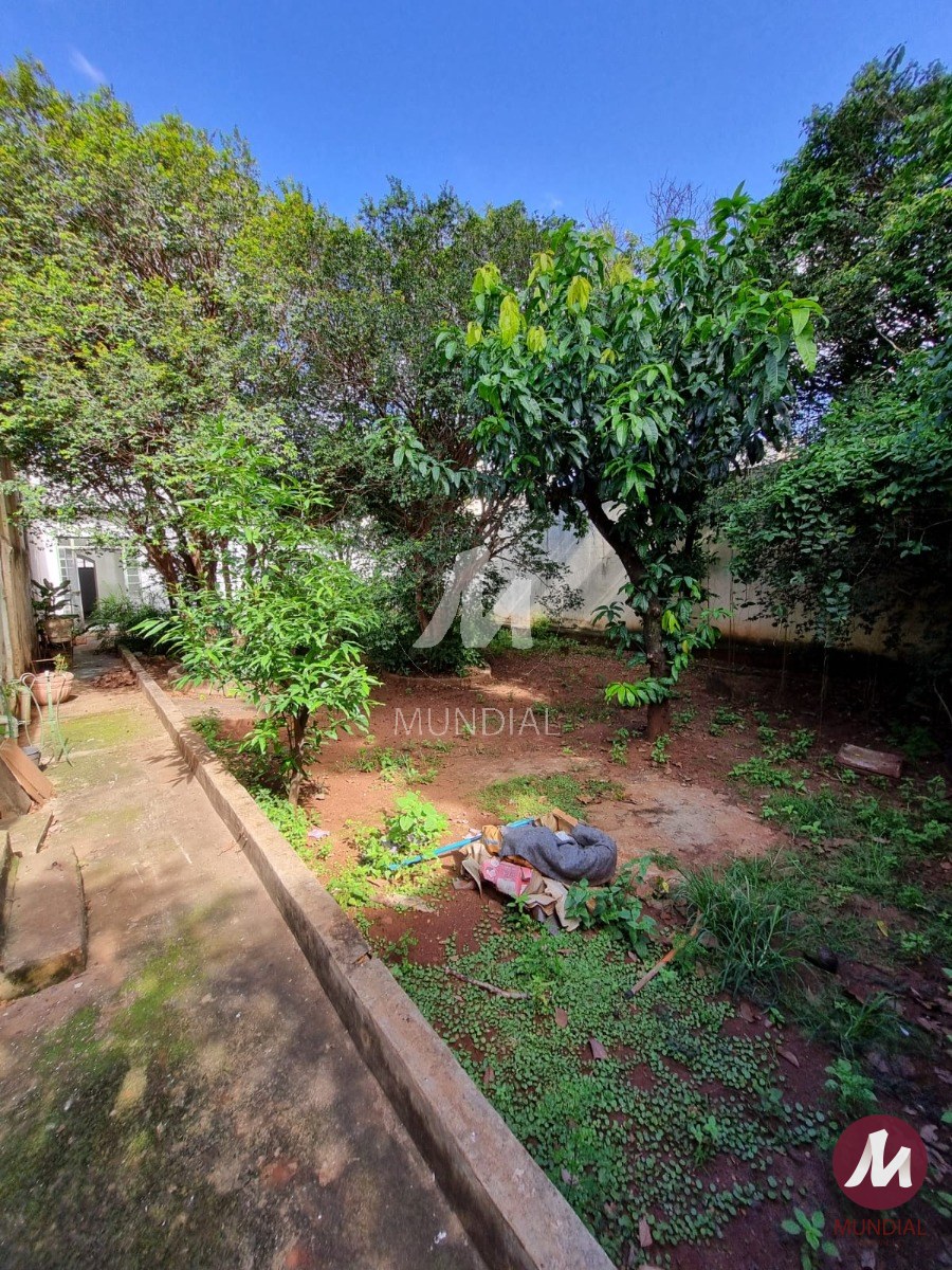 Quintal/corredores — foto 6