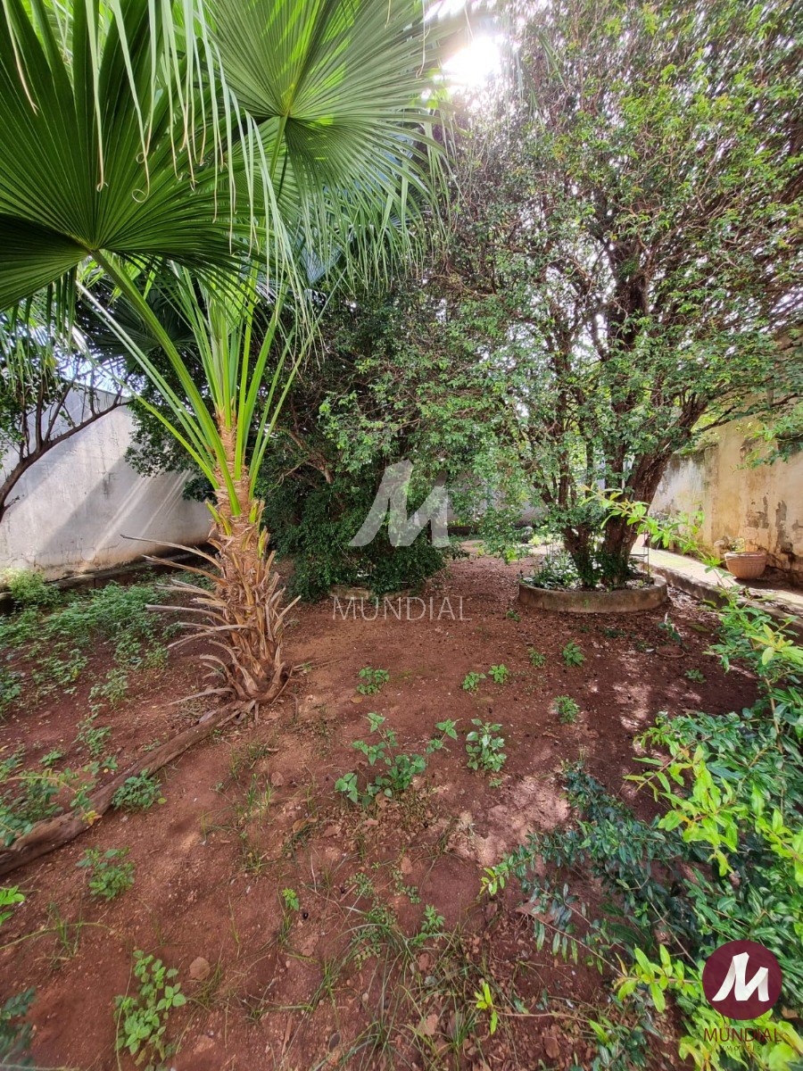 Quintal/corredores — foto 7