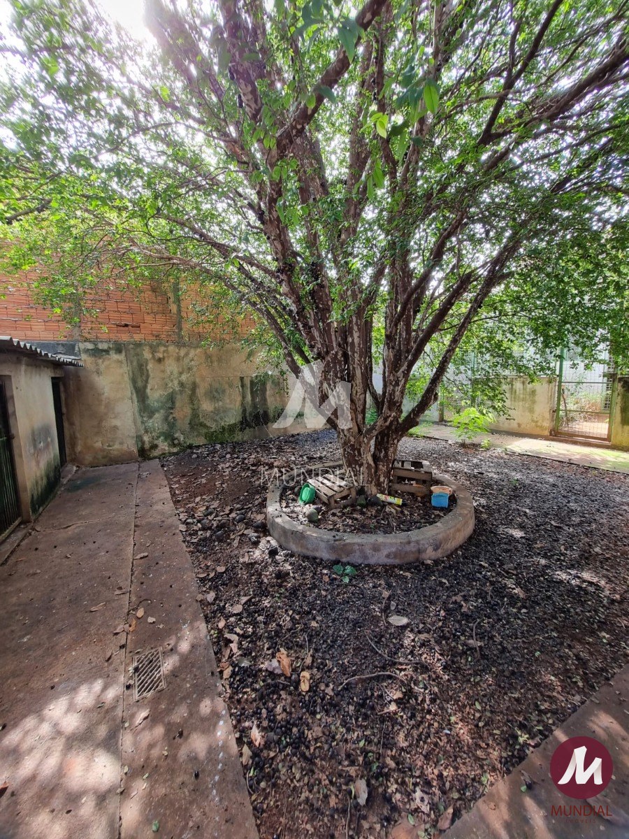 Quintal/corredores — foto 8