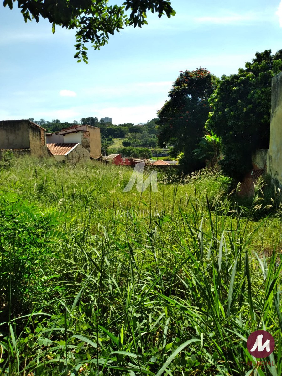 Terreno/Lote — foto 3