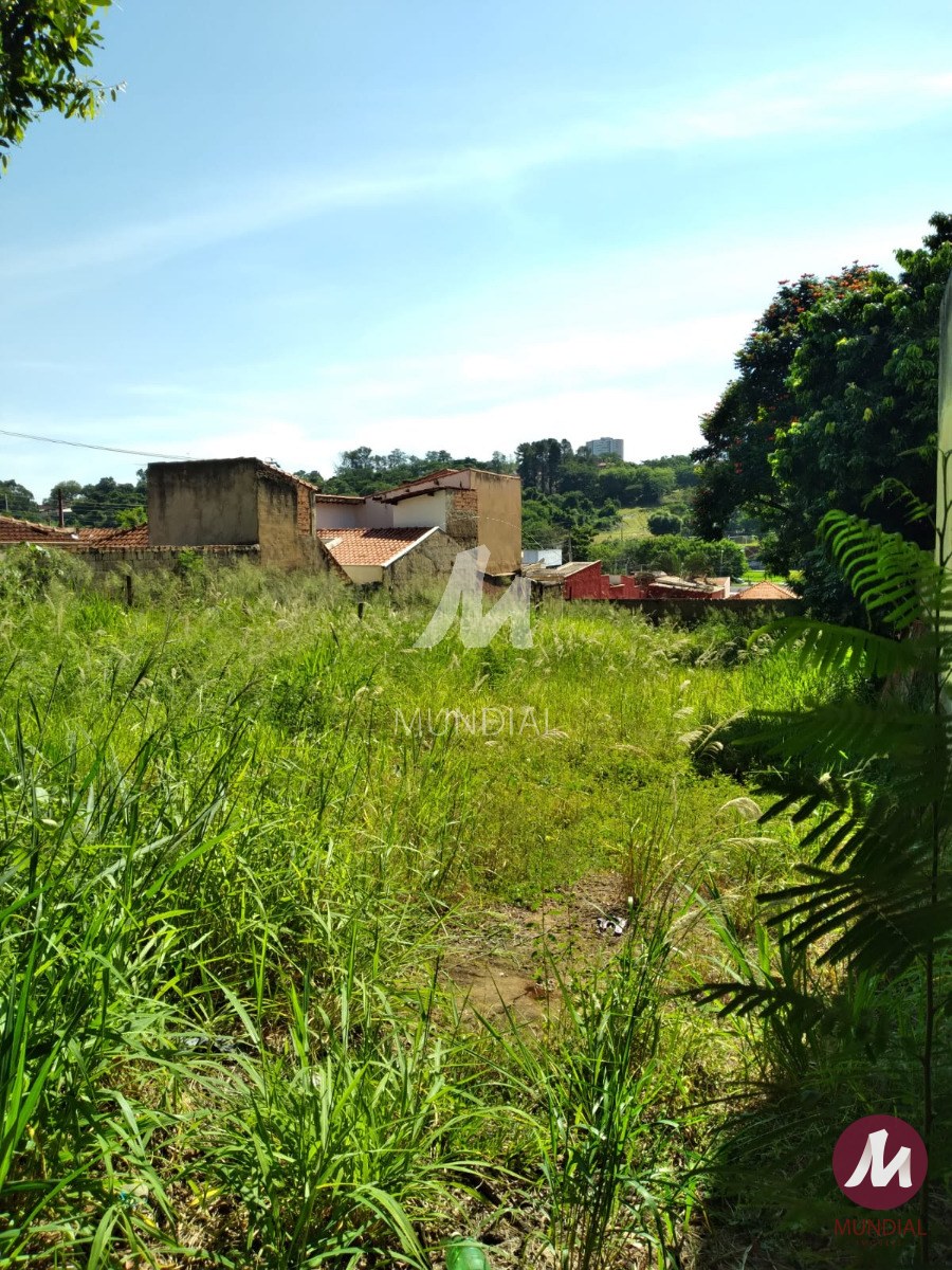 Terreno/Lote — foto 4