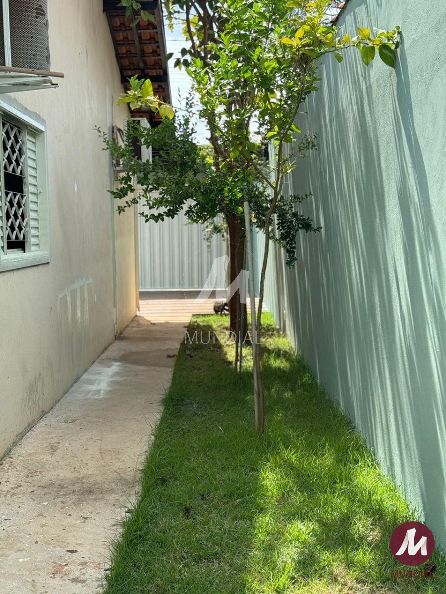 Quintal/corredores — foto 14