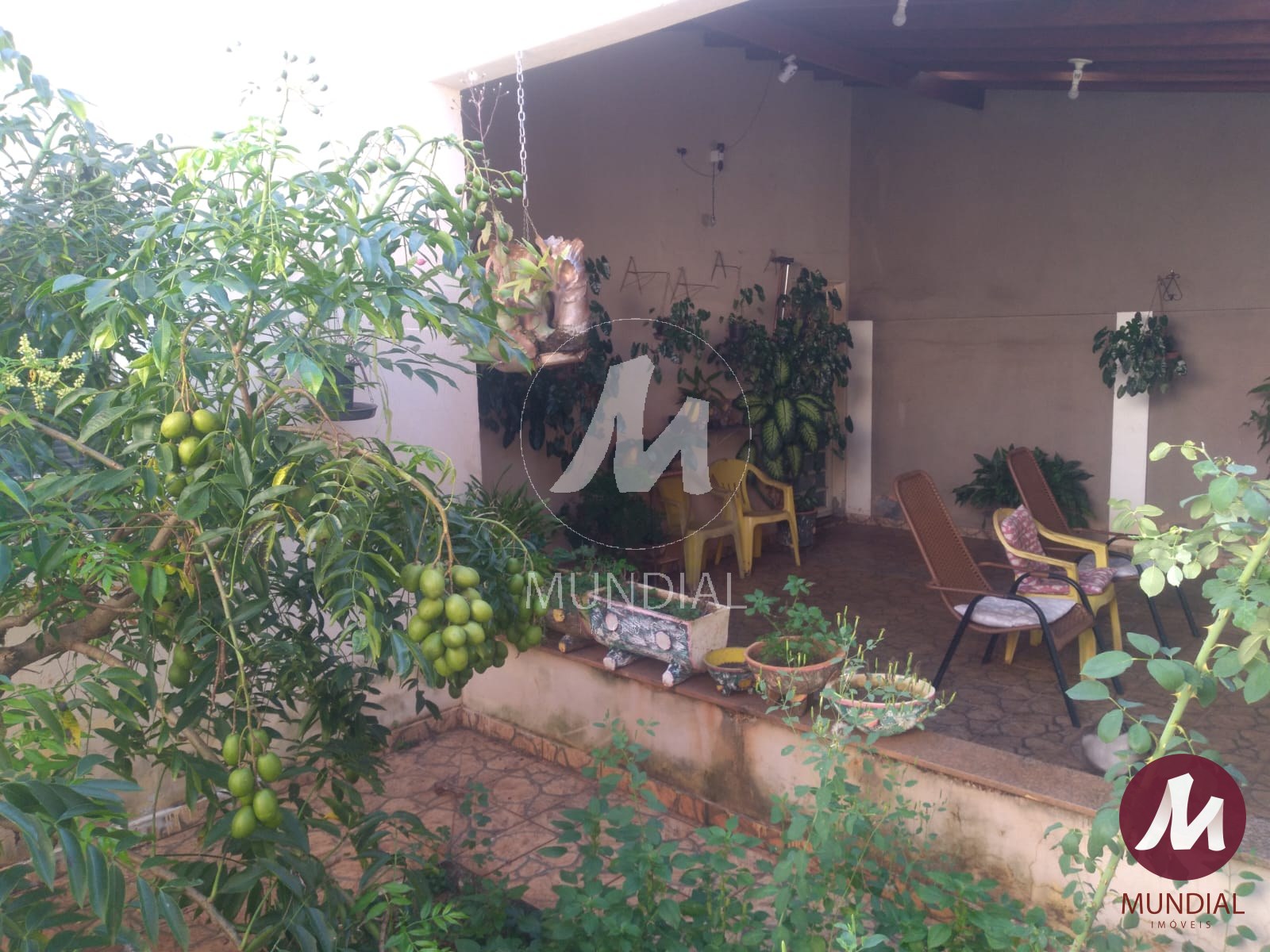 Quintal/corredores — foto 12