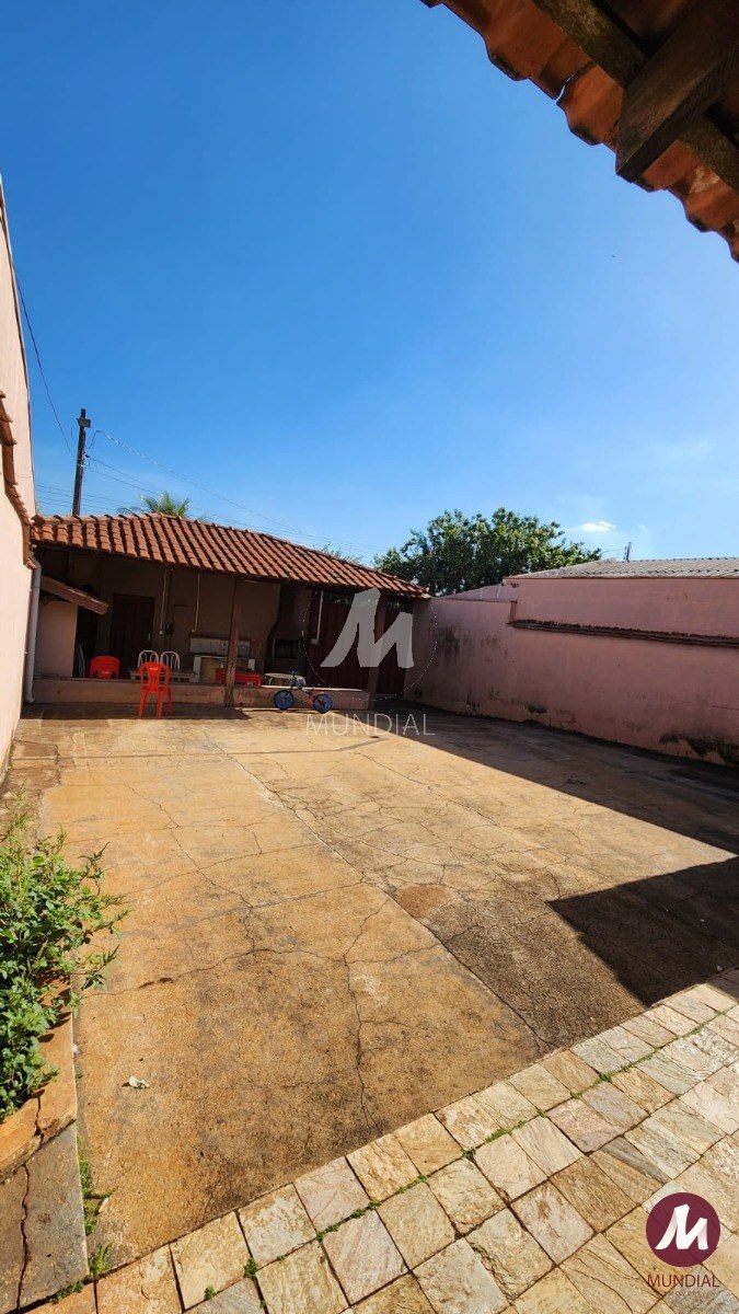 Quintal/corredores — foto 15