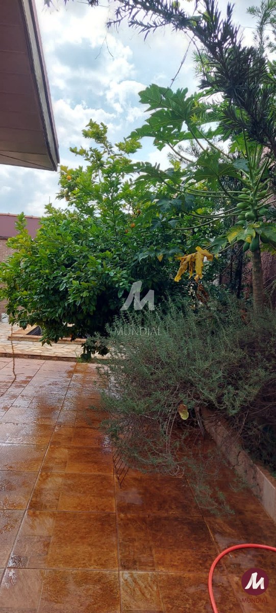 Quintal/corredores — foto 5