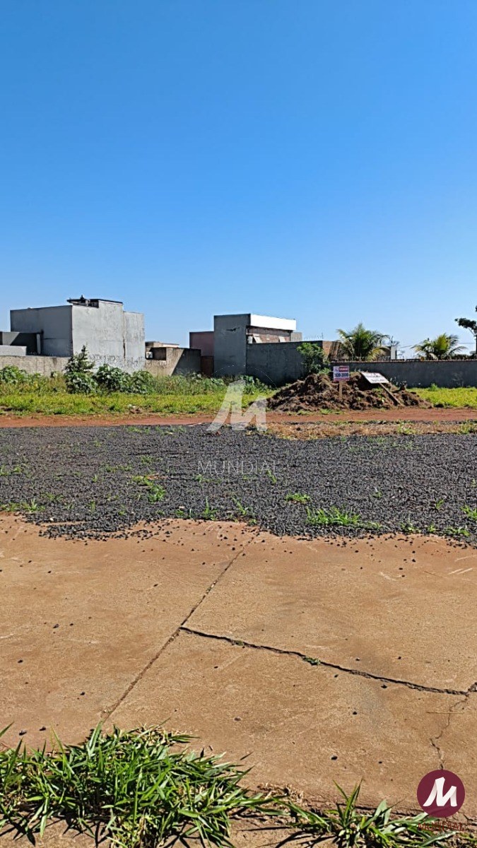 Terreno/Lote — foto 3