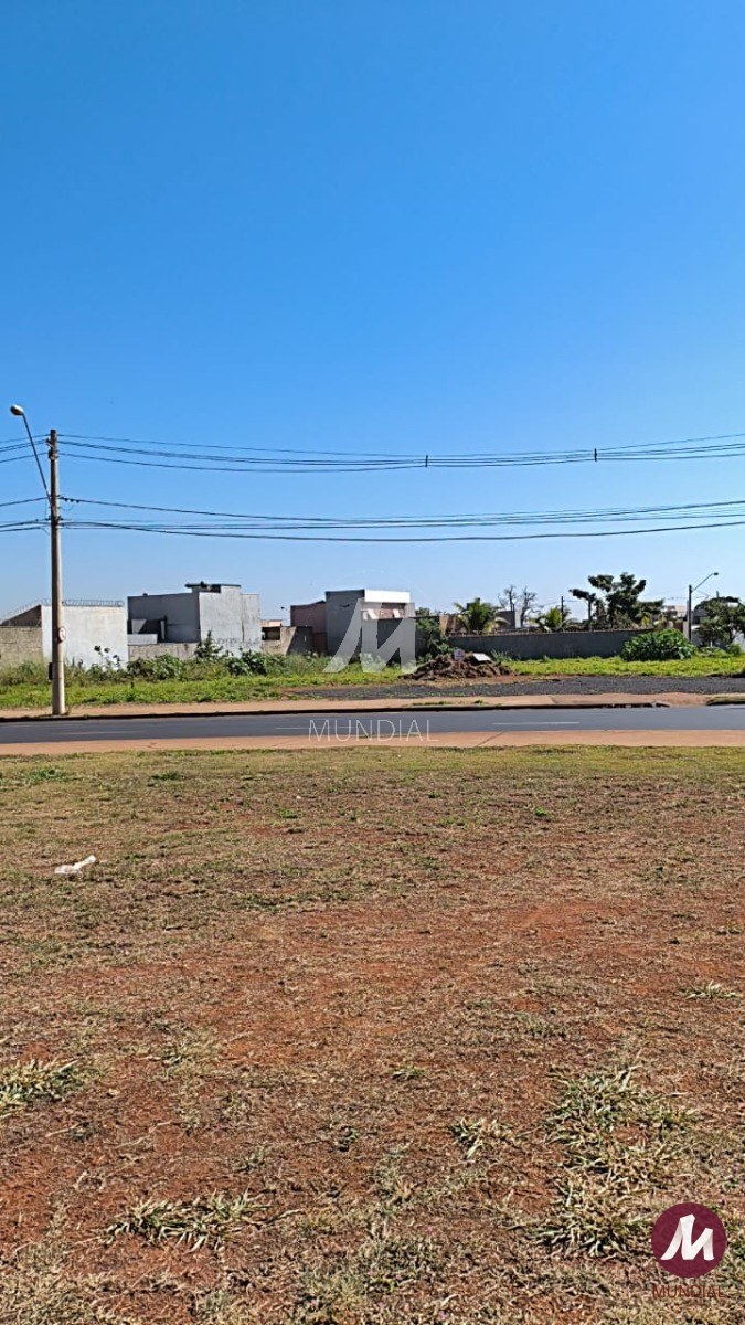 Terreno/Lote — foto 4