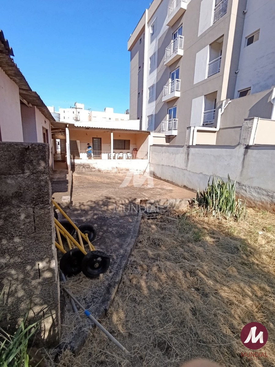Quintal/corredores — foto 10
