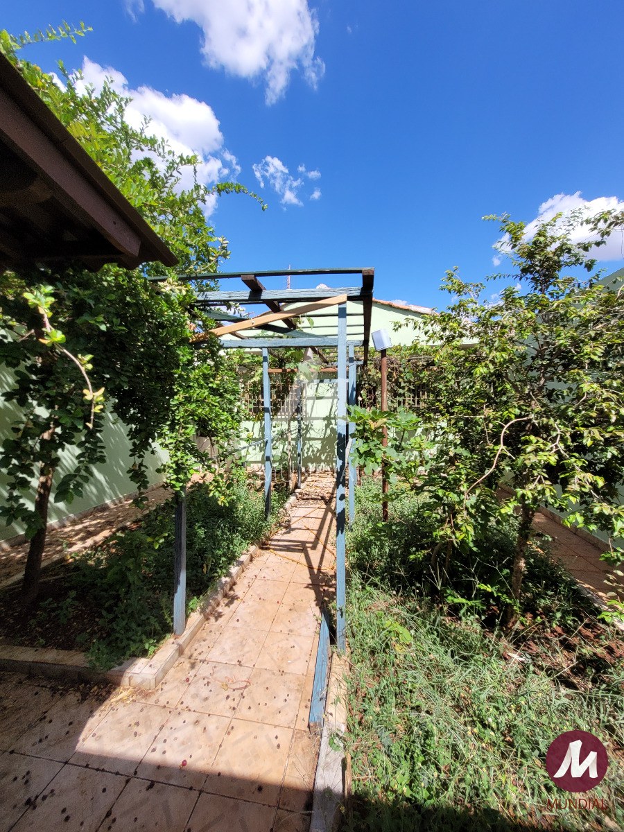 Quintal/corredores — foto 18