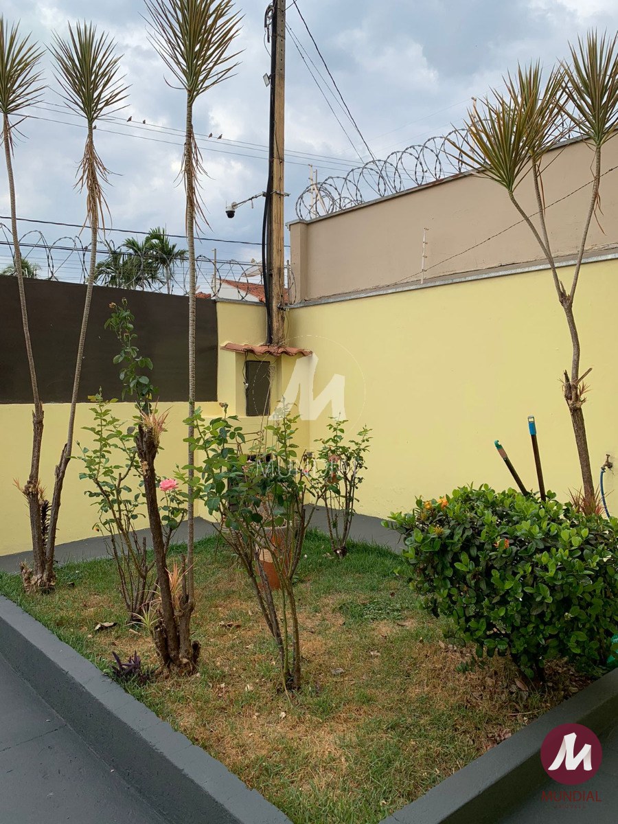 Jardim — foto 2