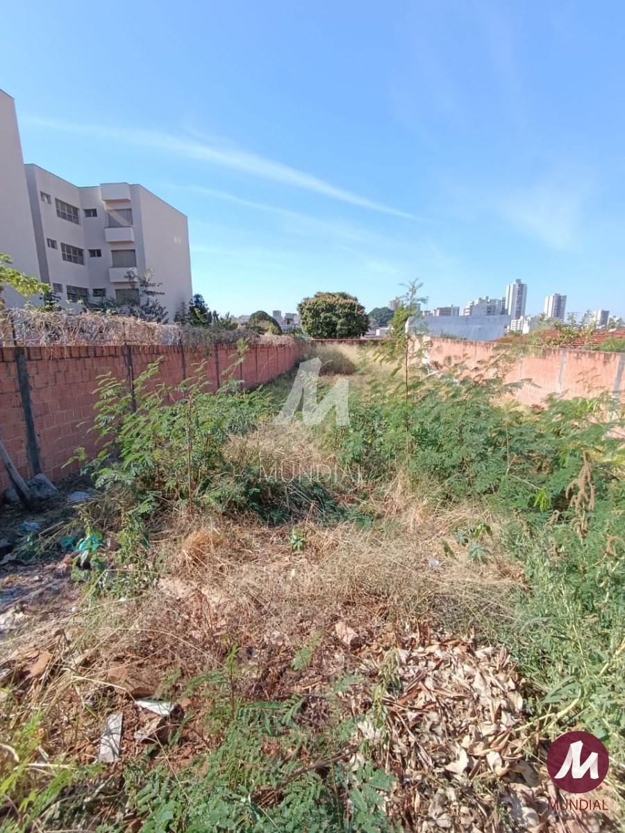 Terreno/Lote — foto 3