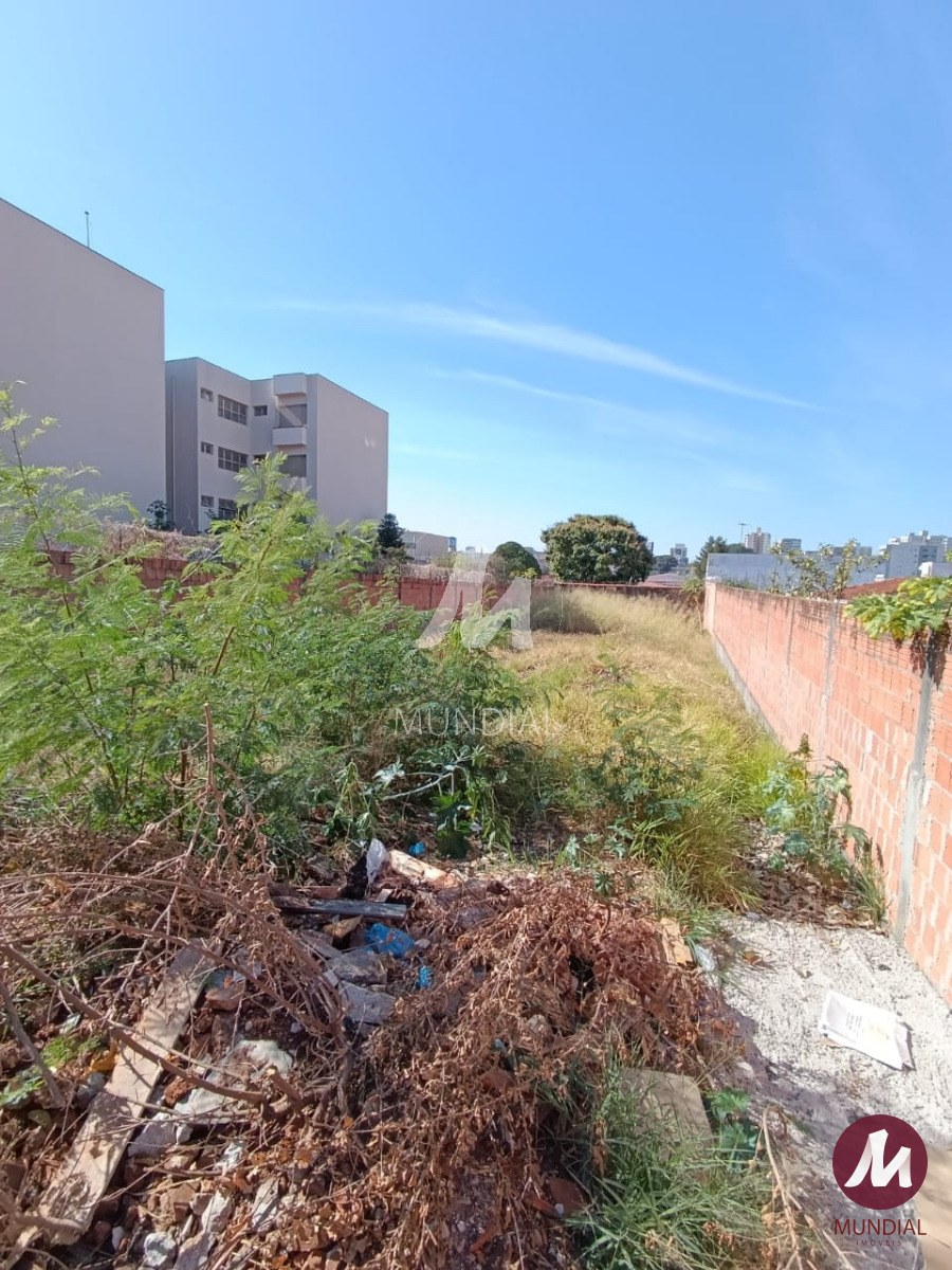 Terreno/Lote — foto 4