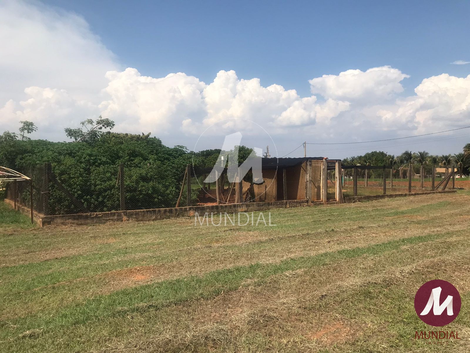 Quintal/corredores — foto 32