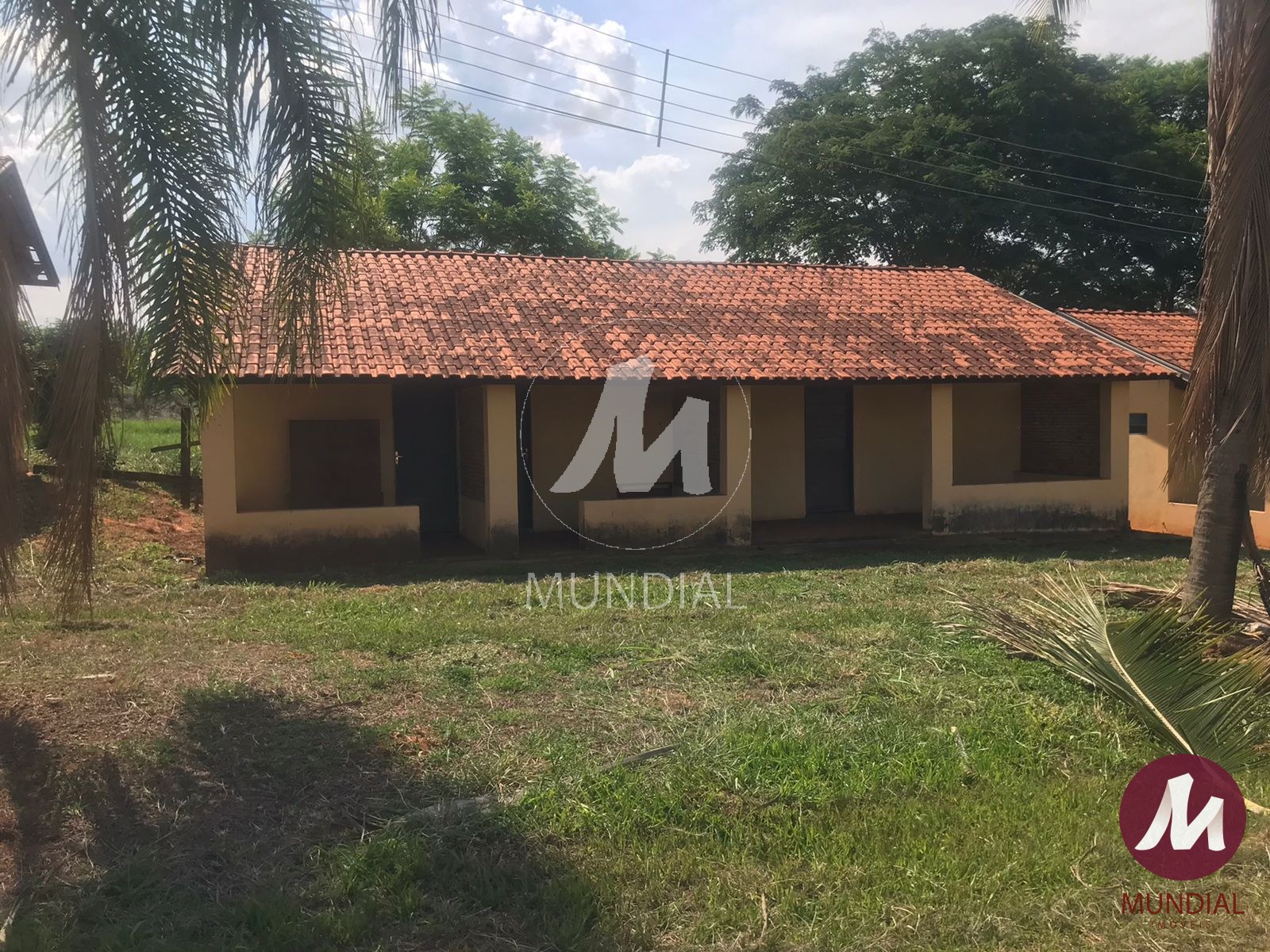 Quintal/corredores — foto 33