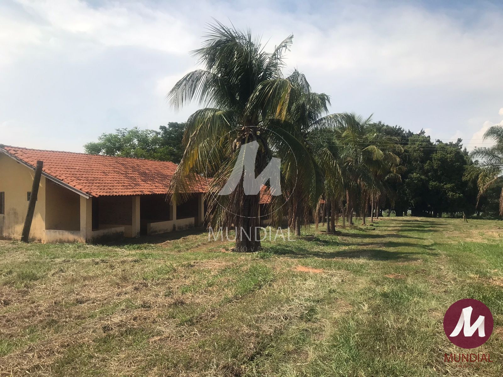 Quintal/corredores — foto 34
