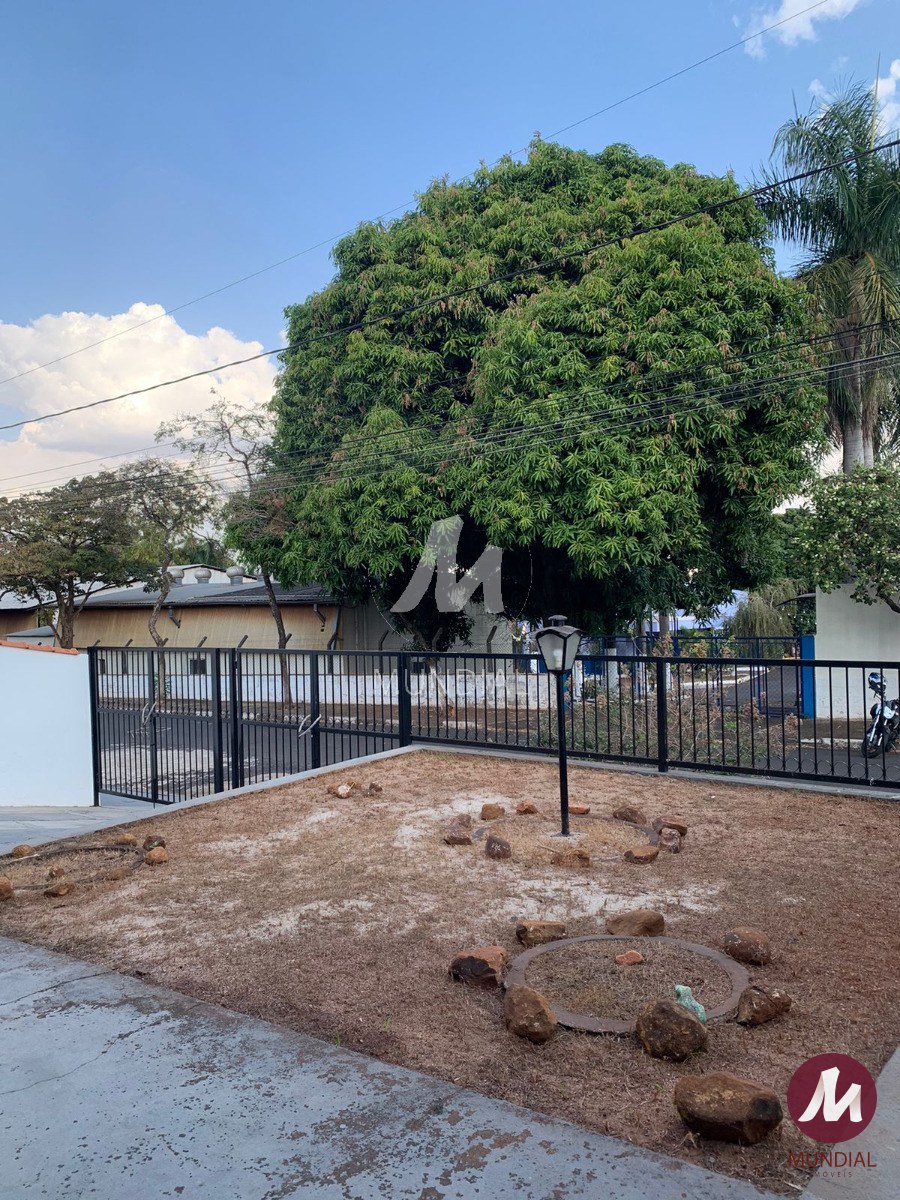 Jardim — foto 3