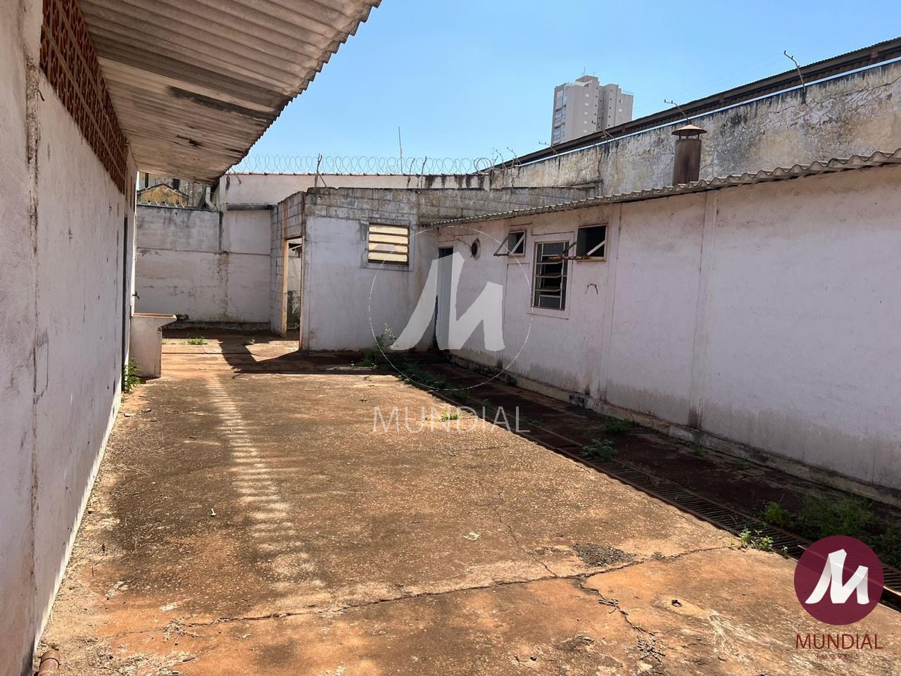 Quintal/corredores — foto 15