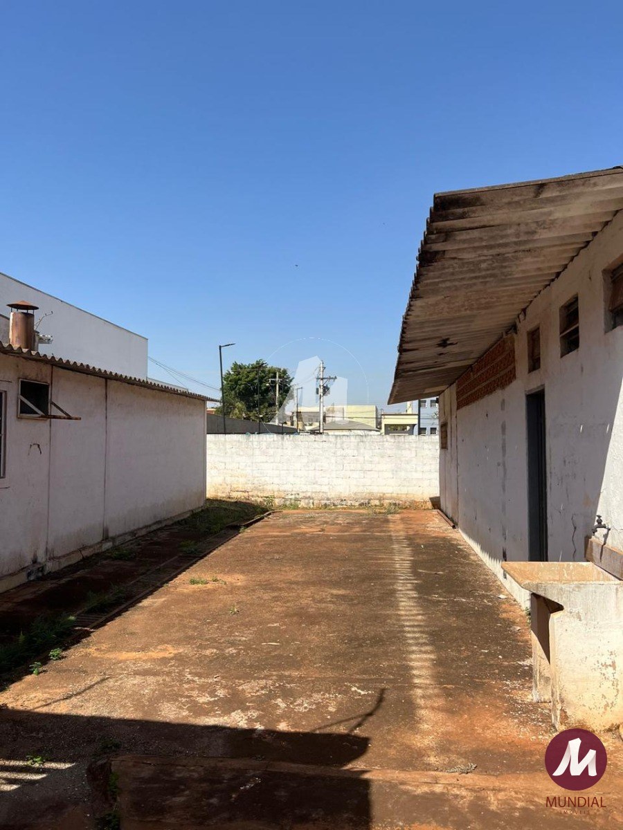 Quintal/corredores — foto 16