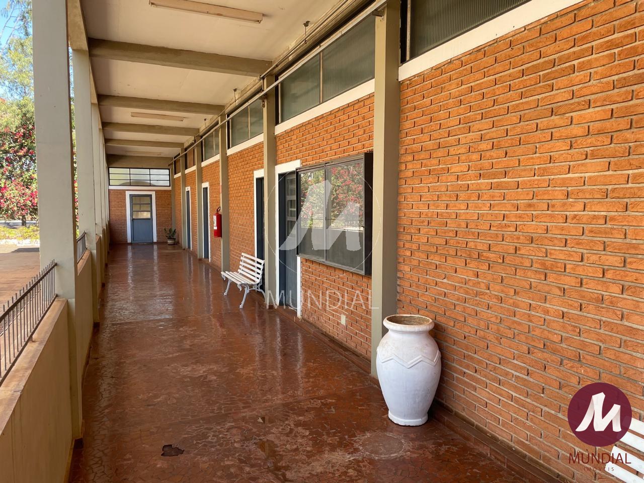 Quintal/corredores — foto 11