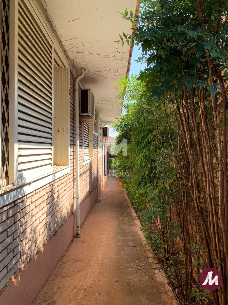 Quintal/corredores — foto 32