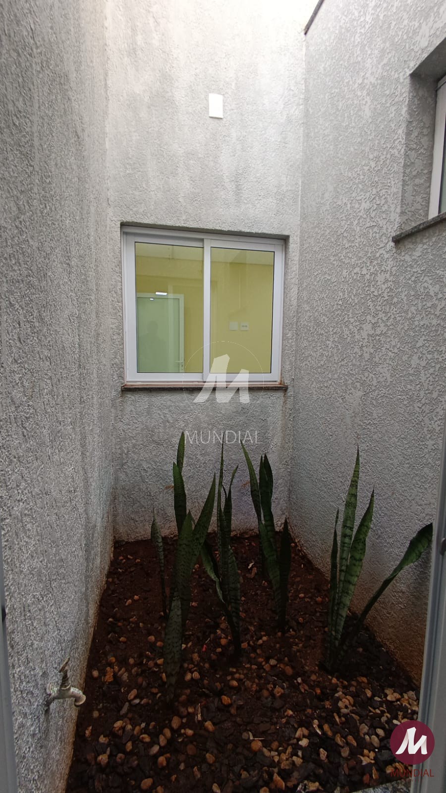 Jardim — foto 20