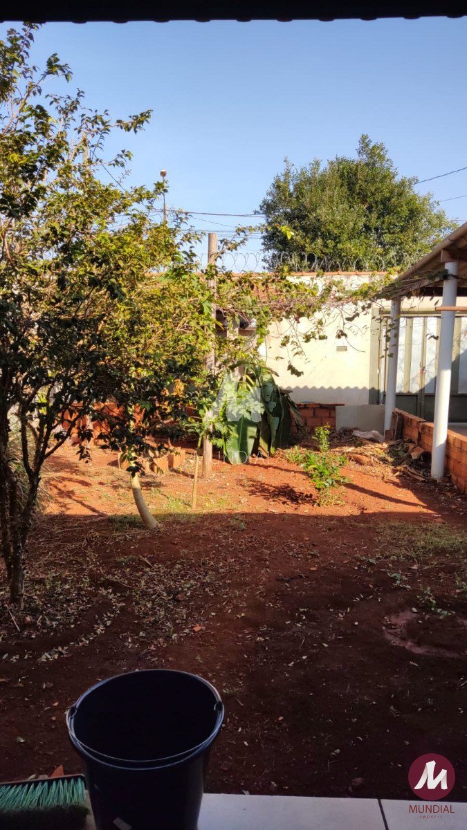 Jardim — foto 4
