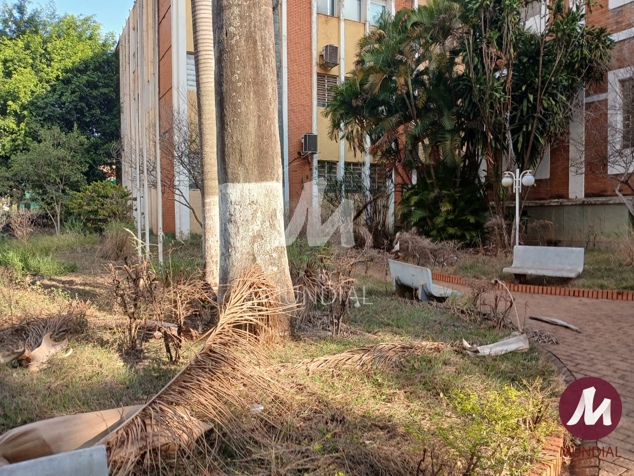 Hall de Entrada — foto 6