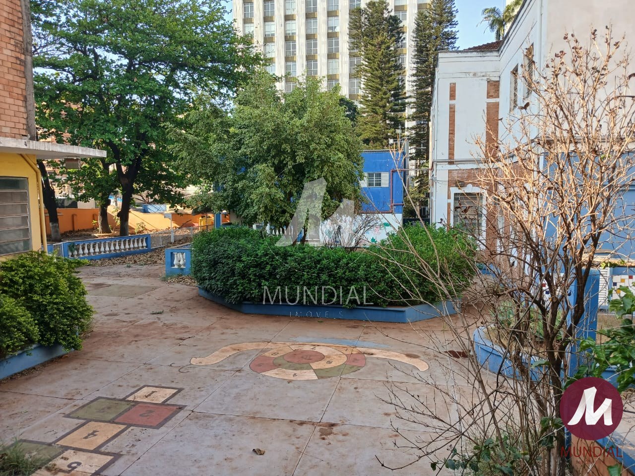 Jardim — foto 28