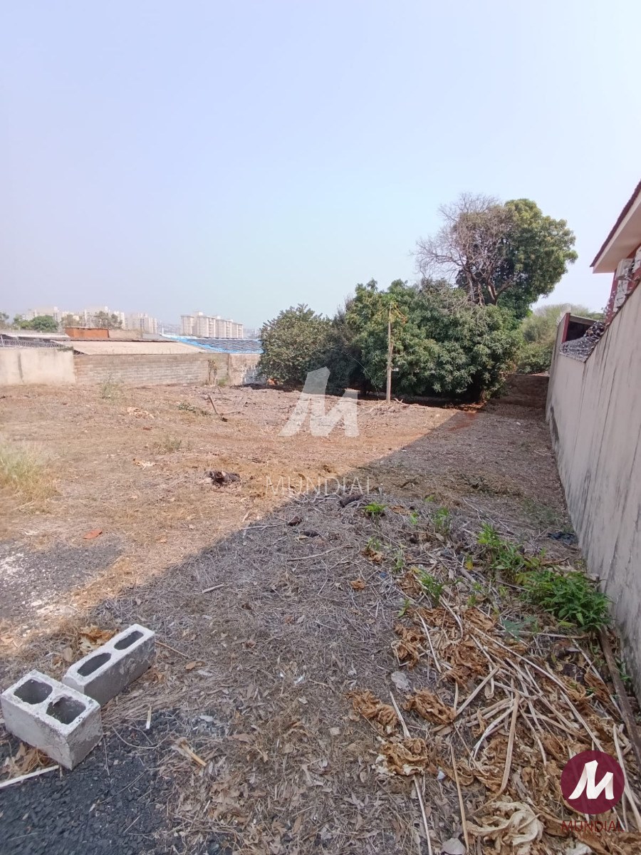 Terreno/Lote — foto 5