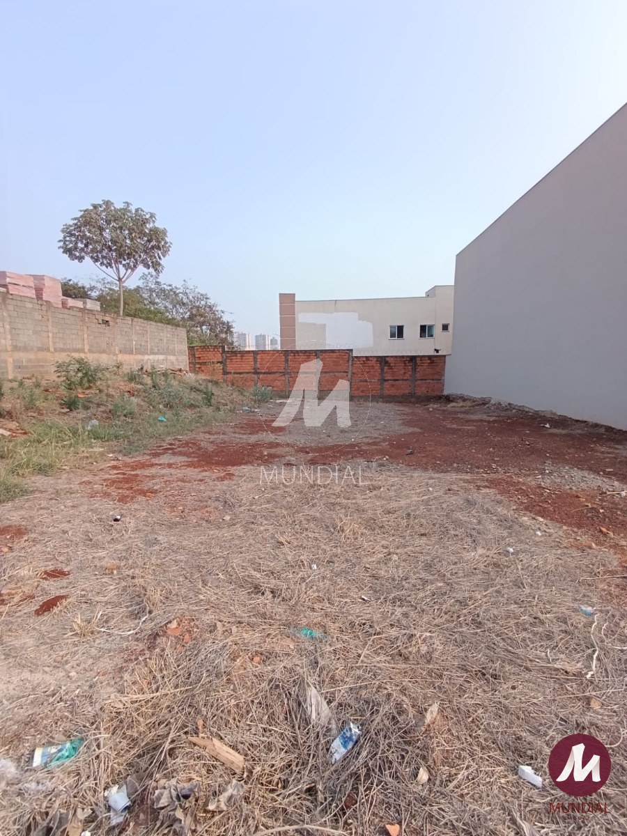 Terreno/Lote — foto 3